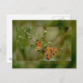 Psalm 139:9-10 Als ik 's ochtends opsta. Briefkaart (Voorkant / Achterkant)