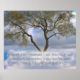 Psalm 139: Ik ben bang en wonderbaarlijk gemaakt Poster