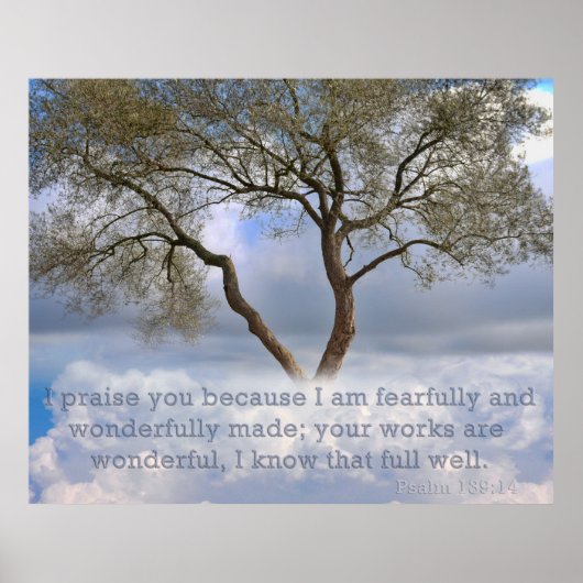 Psalm 139: Ik ben bang en wonderbaarlijk gemaakt Poster (Voorkant)