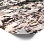 Psalm 141:3 Scripture Poster (Hoek)