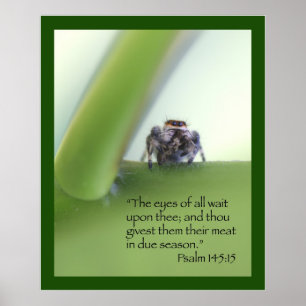 Psalm 145:15 Poster Scripture