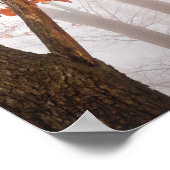 Psalm 147:3 Hij heelt de gebroken Hearted Poster (Hoek)