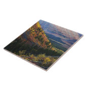 Psalm 148:13 Tegels Tegeltje (Zijkant)