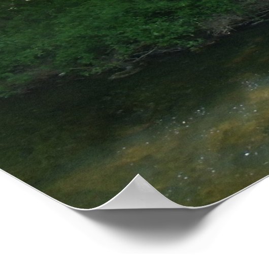 Psalm 16:11 Poster (Hoek)