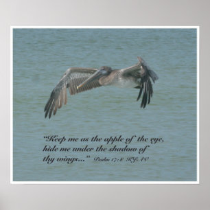 Psalm 17:8 de Druk van de Manuscript, Versie B Poster