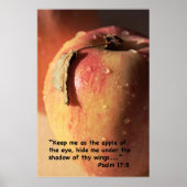 Psalm 17:8 Manuscript Druk Poster (Voorkant)