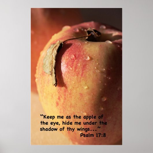 Psalm 17:8 Manuscript Druk Poster (Voorkant)