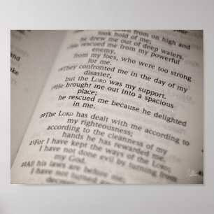 Psalm 18:19 [Afdrukken] Poster