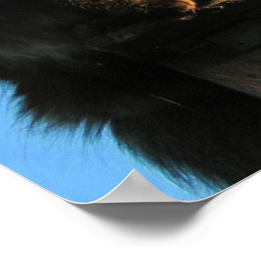 Psalm 19:1 Angel Cat Meme Poster (Hoek)