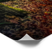 Psalm 19:7-8 poster (Hoek)