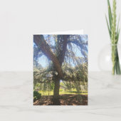 Psalm 1:1-3 Blank Card Kaart (Voorkant)