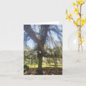 Psalm 1:1-3 Blank Card Kaart (Gele Bloem)