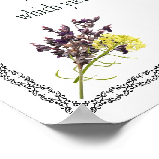 Psalm 1:1-3, Blessed is degene die Poster (Hoek)