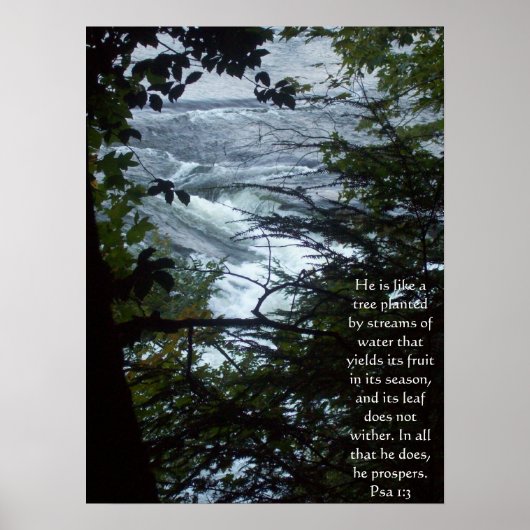Psalm 1:3 poster (Voorkant)