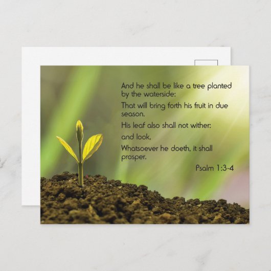 Psalm 1 - En hij zal als een boom zijn .... Briefkaart (Voorkant / Achterkant)