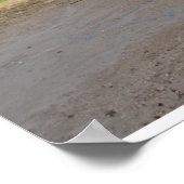 Psalm 1 het Poster van de Manuscript (horizontaal (Hoek)