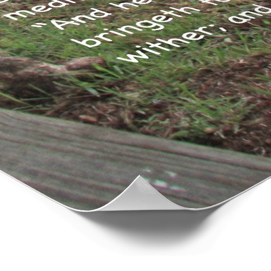 Psalm 1 het Poster van de Manuscript, Versie C (Hoek)