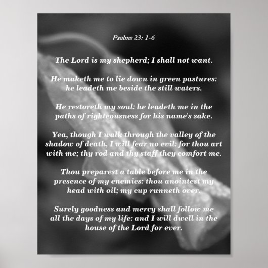 Psalm 23: 1-6 poster (Voorkant)