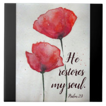 Psalm 23:3 Hij herstelt mijn ziel, bijbel Verse Fl