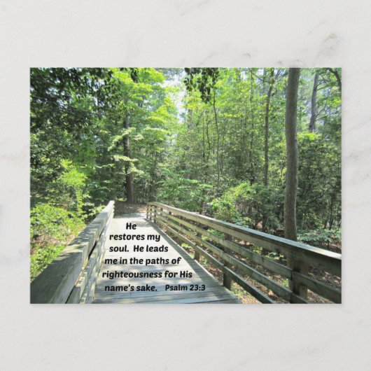 Psalm 23:3 Hij herstelt mijn ziel, hij leidt me in Briefkaart (Voorkant)