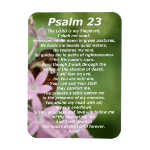 Psalm 23 (4) magneet