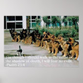 psalm 23:4 poster (Voorkant)