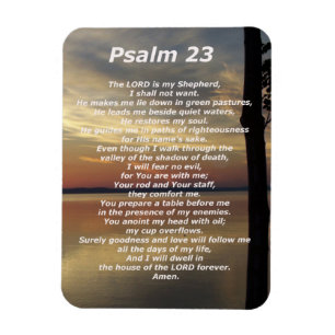 Psalm 23 (5) magneet