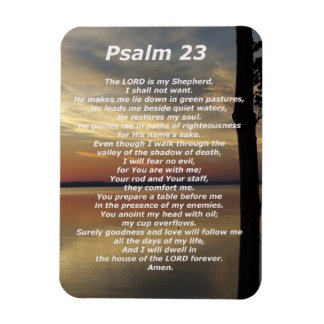 Psalm 23 (5) magneet