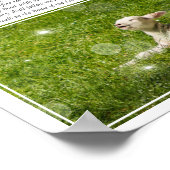 Psalm 23 De Heer is mijn Shepherd Foto Poster (Hoek)