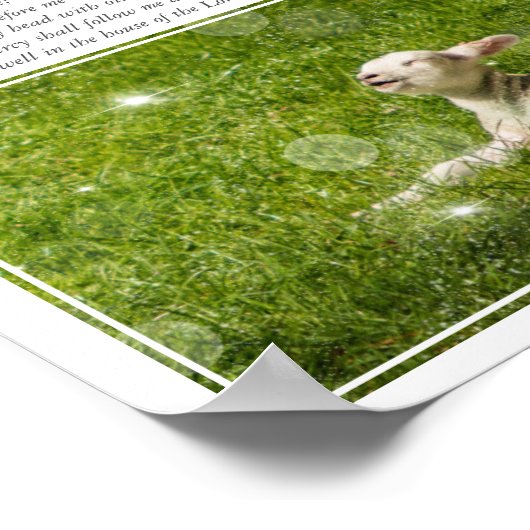 Psalm 23 De Heer is mijn Shepherd Foto Poster (Hoek)