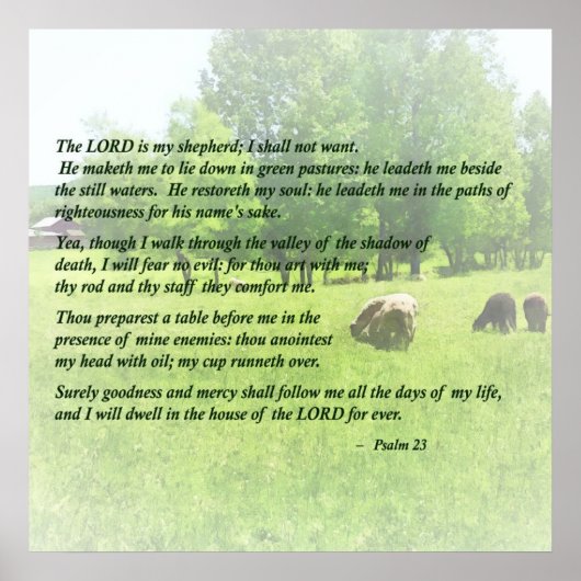 Psalm 23 De Heer is mijn Shepherd Poster (Voorkant)