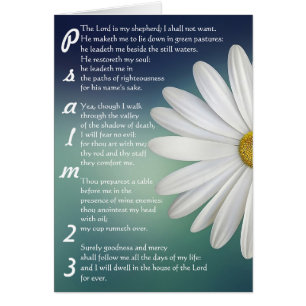 Psalm 23 - de LORD is mijn herder