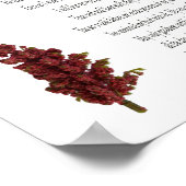 Psalm 23, Groenboek Plant Floral Poster (stemming) (Hoek)