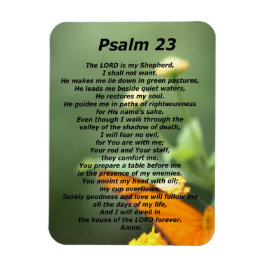 psalm 23 magneet