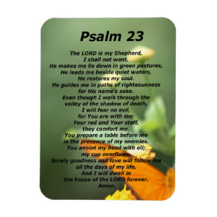 psalm 23 magneet