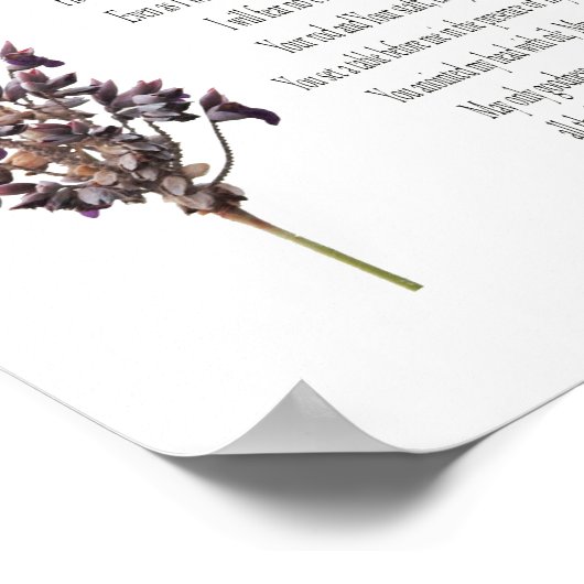 Psalm 23, Paars gele botanische Poster (steen) (Hoek)