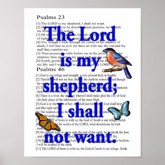 Psalm 23 poster (Voorkant)