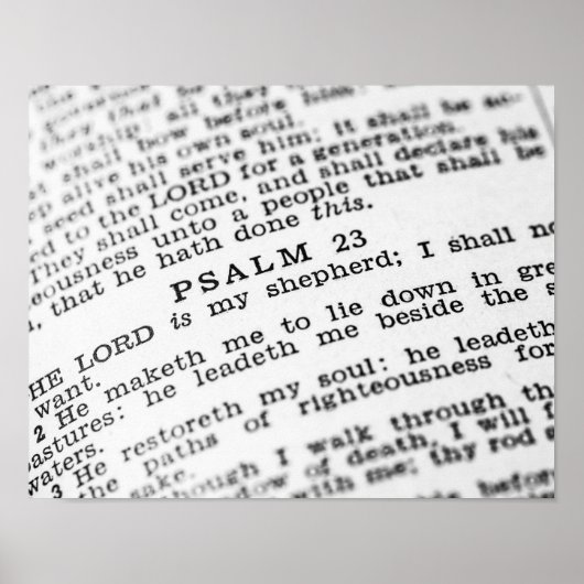 psalm 23 poster (Voorkant)