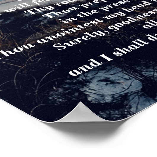 PSALM 23 POSTER (Hoek)