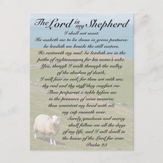 Psalm 23 The Lord is mijn herder, Irish Field Briefkaart (Voorkant)