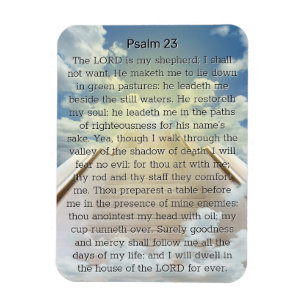 Psalm 23 Trap naar de Hemel Magneet