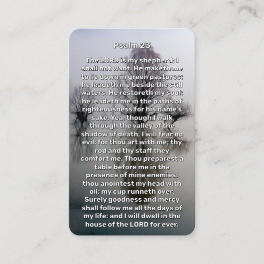Psalm 23 Verlichte Lake Memorial Prayer Kaart Visitekaartje (Voorkant)