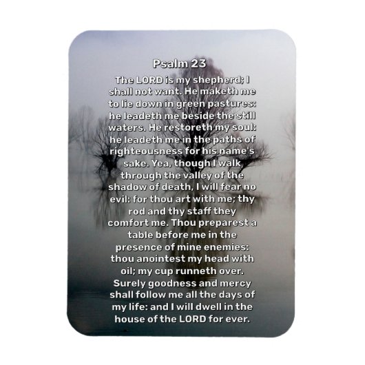 Psalm 23 Verlichte religieuze meren Magneet (Verticaal)