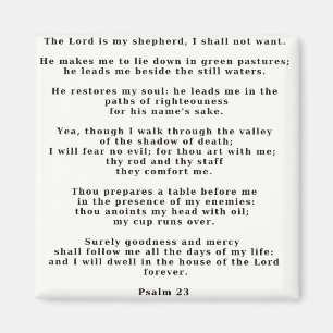 Psalm 23 wit magneet
