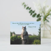 Psalm 27:14 en gekruiste kat briefkaart (Staand voorkant)