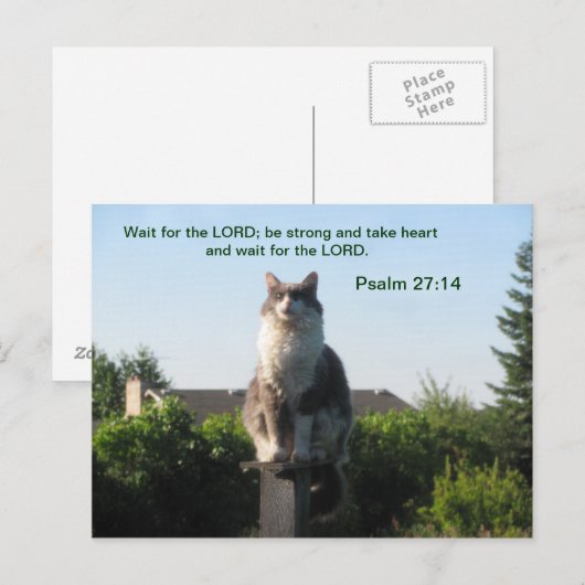 Psalm 27:14 en gekruiste kat briefkaart (Voorkant / Achterkant)