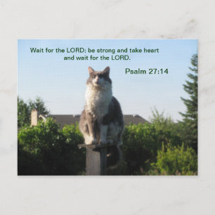 Psalm 27:14 en gekruiste kat briefkaart