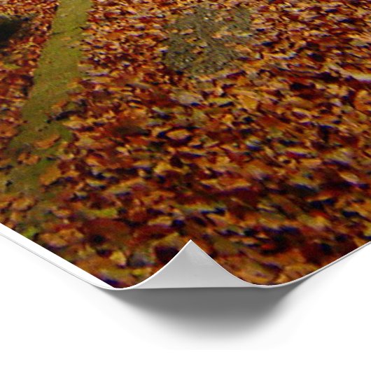 Psalm 27:1 Poster (Hoek)