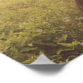 Psalm 27:4 Een ding dat ik verlangde van de Heere  Poster (Hoek)