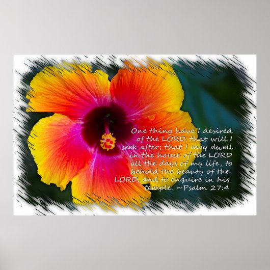 Psalm 27:4 Hibiscus op wit Poster (Voorkant)
